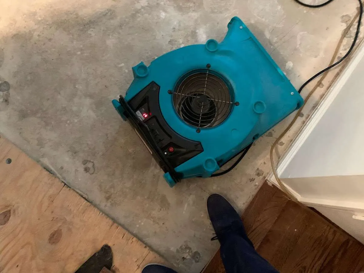 Air mover drying subfloor during Leak Detection & Repair in Fallon